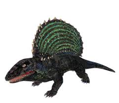 Image result for Edaphosaurus