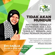 Evi Dahlia Star Agen Hpai 2014 Winston Churchill Churchill Dahlia