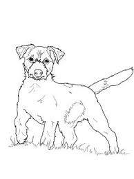 Jack Russell Terrier Coloring Page Super Coloring Dog Coloring Page Animal Coloring Pages Coloring Pages