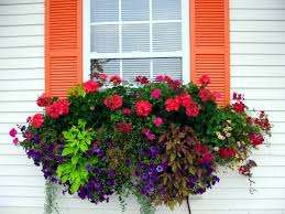 If you have used your window box during the past season, now is the time to empty it out. 15 Were Central Window Decoration And Gardening Ideas Flower Box Interior Design Ideas Ofdesign