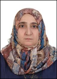 الجامعة التقنية الشمالية