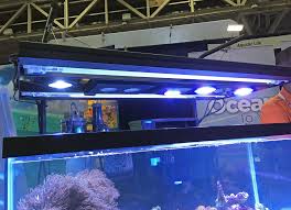 Build Your Perfect Reef Light With Aquatic Life S New T5ho Led Hybrid Light Fixture Marine Depot Blog