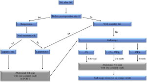 Gastric Leak After Sleeve Gastrectomy Risk Factors For Poor Evolution Under Conservative Management Surgery For Obesity And Related Diseases While metallic stents have since been approved for specific cardiovascular. surgery for obesity and related diseases