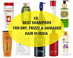 Our favorite dry shampoo sprays, powders, and foams to breathe new life into your hair, whether it's fine, thick, dry. 10 Best Shampoos For Dry Hair In India 2020 For Frizzy Damaged Hair