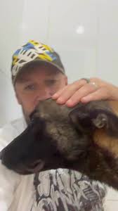 Was found wandering the street… what looks like rope burn where he was tied  up… he’s at the vet and he’s been stitched up now., He’s skin and bone…  ribs poking through., I’m taking him home from the ...