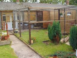 Our 1.8mm thick welded wire mesh is the perfect. Building The Big Outdoor Cat Run Its A Grand Blog Outdoor Cat Run Outside Cat Enclosure Cat Enclosure