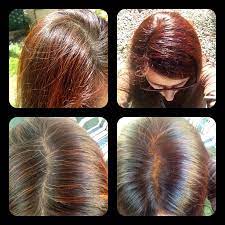 ** henna + indigo is a permanent natural dye** a detailed, step by step tutorial on how to dye grey hair black naturally using henna and indigo! Pin By Jaya Haircare The Tinsnip Ha On Organic Nazeer Henna Other Organic Henna Hair Colours Henna Hair Color Henna Hair Dyes Henna Color