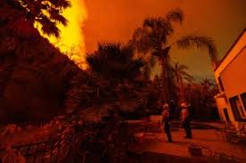 Dallas Raines L.A. Wildfires Q&A: What ...