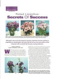 Image result for eustoma maurine