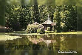 Odenwaldperle Dnd Eulbacher Park Odenwald Wald Deutschland