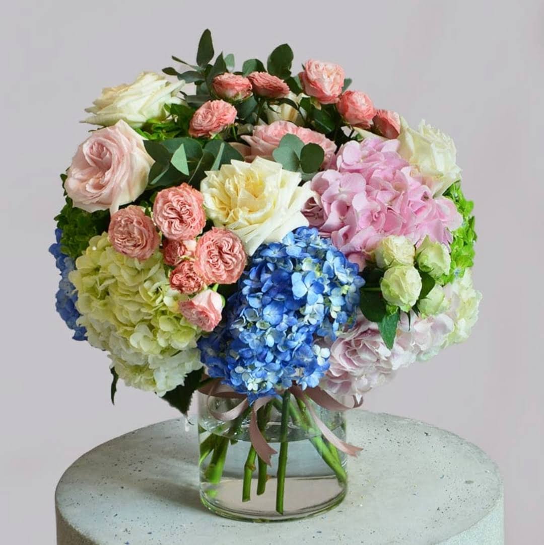 Blossom day product image