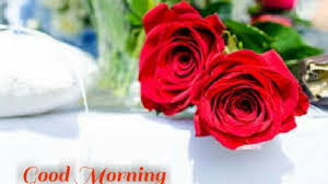 Romantic good morning rose flowers for her. 20 Flowers Good Morning Images Good Morning Images Love