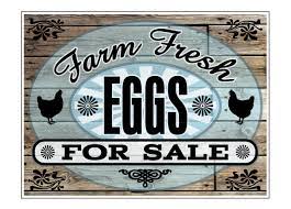 Neat sign for a farmer. Buy Our Farm Fresh Eggs For Sale Wood Grain Aluminum Sign From Signs World Wide