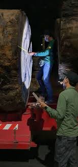 Senarai kerjaya pilihan negeri johor, kedah, kelantan, melaka, negeri sembilan, pahang, perak, perlis, pulau pinang, sabah, sarawak, selangor & terengganu. Kayu Balak Gergasi Itu Dari Terengganu Malakat Tribune