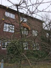 Wohnung mieten oder vermieten auf willhaben. Cultur Centrale Ottenbeck Home Facebook