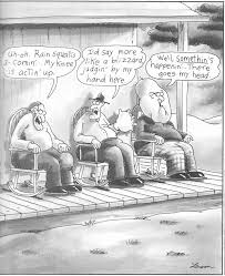 Gregory larsen, 67diana larson, 84gary larson, 50. 42 Gary Larson Comics Ideas Gary Larson Far Side Cartoons Far Side Comics
