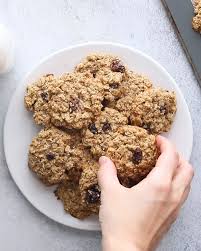 The Best Healthy Oatmeal Cookies Eating Bird Food Recipe In 2020 Oatmeal Cookie Recipes Healthy Healthy Cookie Recipes Healthy Oatmeal Cookies