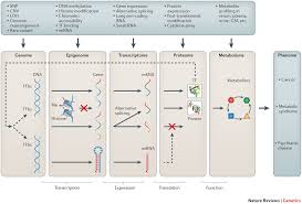 În lumea vegetală, liderii la categoria cantitate de proteine sunt: Bioinformatics Bestkeeeper Software Gene Quantification Homepage