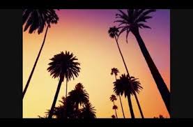 All The Leaves Are Brown And The Sky S Grey Lyrics The Mamas The Papas California Dreamin Hq Audio Lyrics Tree Wall Murals Palm Tree Wallpaper Mural Palm Trees Wallpaper