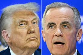 Boy's dinosaur collection burned in the California fire. Then boxes started  appearing