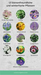 Gerade als anfänger im eigenen garten kann man sich sehr schwer tun, wenn es um die damit ihre pflanzen genügend nährstoffe bekommen und das wachstum verbessert wird, sollten sie von märz bis september oder oktober. 13 Bienenfreundliche Und Winterharte Pflanzen Garten Bepflanzen Garten Anpflanzen Winterharte Pflanzen Garten