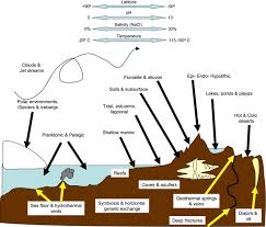 We did not find results for: Early Life On Land And The First Terrestrial Ecosystems Ecological Processes Full Text