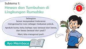 We did not find results for: Kunci Jawaban Tema 3 Kelas 4 Subtema 1 Hewan Dan Tumbuhan Di Lingkungan Rumahku Pembelajaran 1