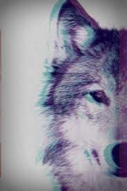 Wolf 3 Wolf Wallpaper Phone Cases Animals