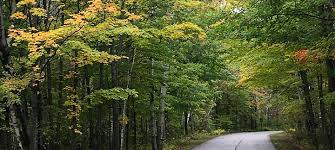 Door county wisconsin fall colors. The Best Places To See The Fall Colors In Door County Eagle Harbor Inn