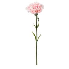 Maybe you would like to learn more about one of these? Smycka Artificial Flower Carnation Pink 30 Cm Ikea