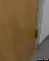 Cat In The Hat In The Bathroom On Make A Gif