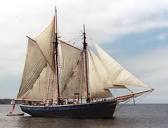 Profile Picture of Caroline Schoner in the 1940 Census | Ancestry®on Google