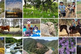 2018 Annual Community Report