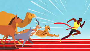 Away laughing on a fast camel. Humans Are Better At Endurance Running Than Any Animal On The Planet