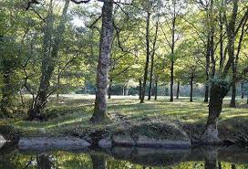 Le 1er août, nicolas pasquier, 32 ans, a succédé, en qualité de chef de cuisine, à simon hérault, 32 ans. Parc De La Barbiniere Parcs Et Activites De Loisirs Saint Laurent Sur Sevre 85290 Adresse Horaire Et Avis