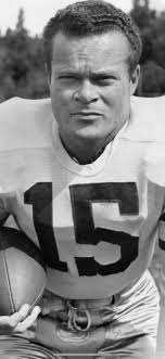 My choices for the best 35 NFL players from LSU. —NFL CAREERS ONLY. The  list is not entirely in order: —Steve Van Buren —Jim Taylor —Y.A. Tittle  —Johnny Robinson —Alan Faneca —Kevin