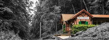 Ob romantischer rosengarten, mondäner villengarten oder geradliniger garten passend zur zeitgenössischen architektur, wichtig ist uns die akkurate umsetzung des entwurfsgedankens bis in. The 10 Best Restaurants In Lauterbach Updated December 2020 Tripadvisor