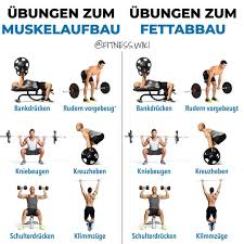 Ubungen Zum Gibt Es Nicht Die Ubungen Und Das Training Sollte Sich Egal Wikide Muskelaufbau Fettabbau Training Muskelaufbau