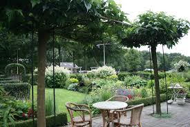 Baume Schirmplatane Gartenreise Belgien Holland Rustikale Pergola Toskanischer Garten Landschaftsdesign