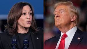 ‘Couldn’t be any tighter’: Megyn Kelly analyses latest US election polling