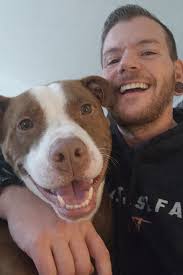 Pitbull named after Chester Bennington