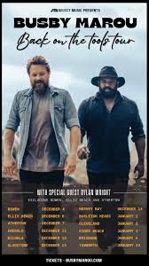 Image result for Maerua bussei