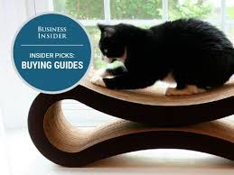 The Best Cat Beds You Can Buy Cat Bed Cat Care Cool Cats