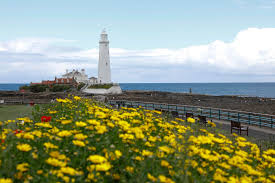 North tyneside council, cobalt business park. North Tyneside 10k Road Race 2021 Visit North Tyneside