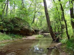 Creek In The Woods This Picture Of A Creek In The Woods Was Taken In Spring Ad Woods Creek Picture Spring Creek Ad Image Stock Photos Photo