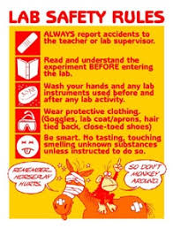 Fooling around or horse play in the laboratory is absolutely forbidden. Lab Safety Rules Schoolworkhelper