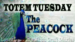 Maybe you would like to learn more about one of these? Peacock Symbolism Meaning Peacock Spirit Totem Animal Powers