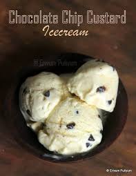 Birds Custard Powder Recipes Ice Cream Chocolate Chip Custard Ice Cream In 2020 Custard Ice Cream Ice Cream Custard