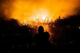 Hace unas semanas tuvimos la formación del #cursodeprevención en #incendios y #emergencias con la realización de un #simulacro de evacuación. Incendios Alrededor Del Mundo No Solo Arde El Oeste De Estados Unidos The New York Times