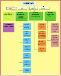 Organisational Structure